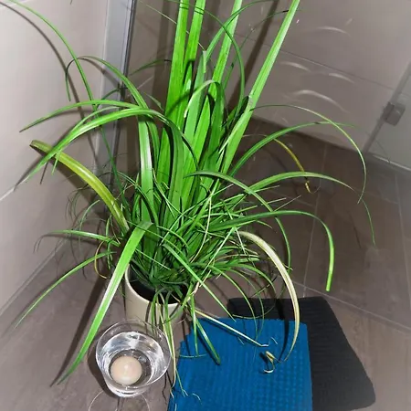 Appartement Fidelis Bodenmais